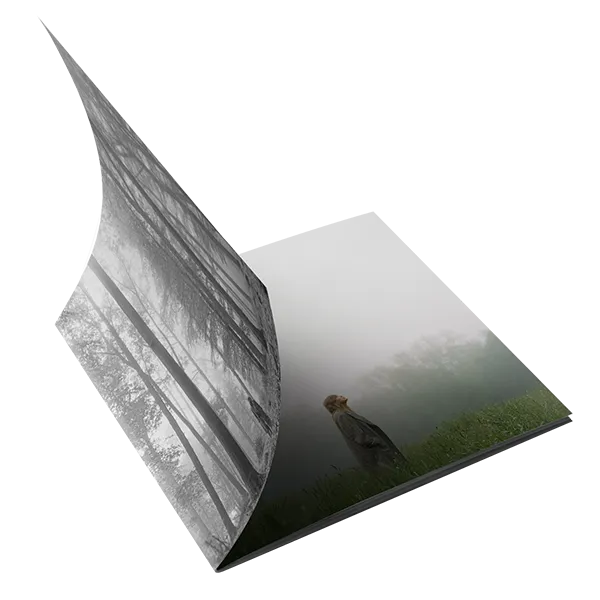 1. the "in the trees" Edition Deluxe CD (Clean)