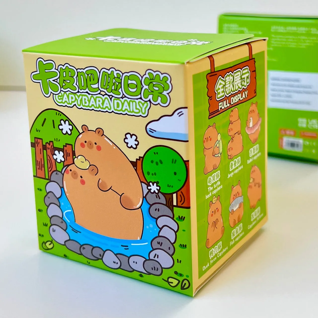 71030 CAPYBARA LIFE FIGURINE BLIND BOX-6