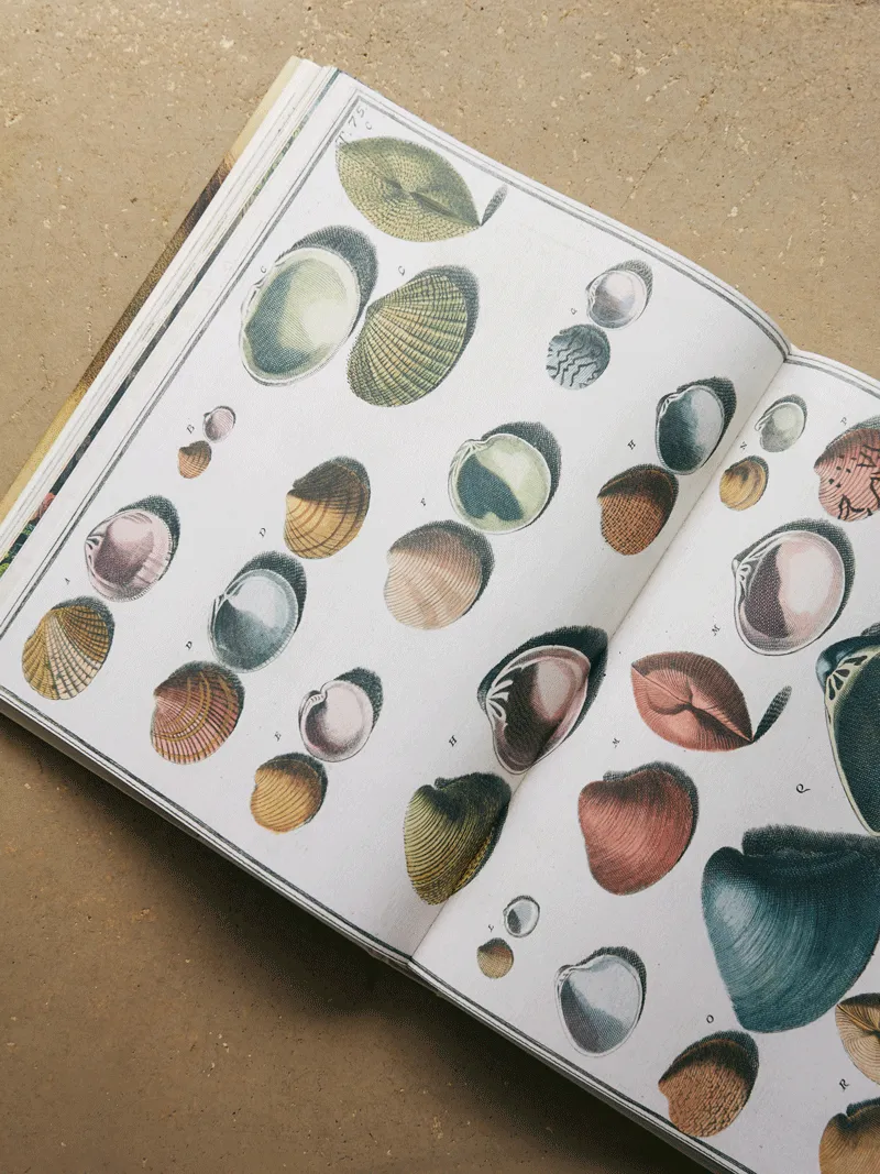 John Derian Picture Book