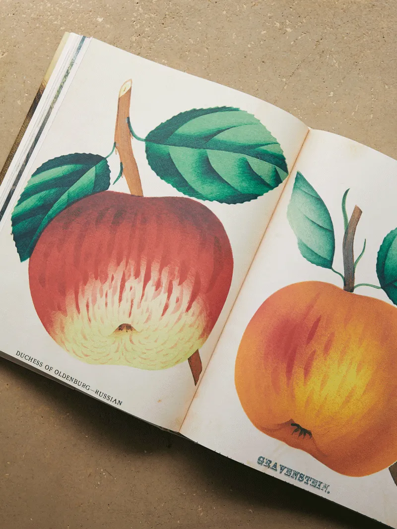 John Derian Picture Book