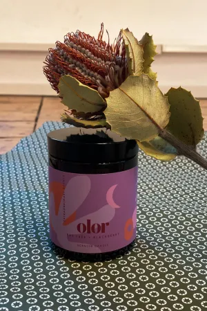 Olor Bay Tree   Blackberry Jar Candle