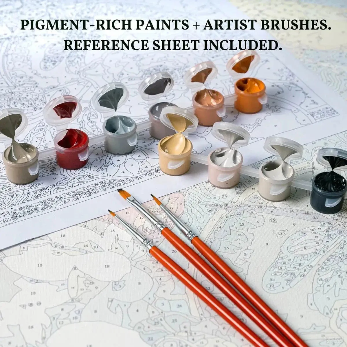 Pimpernel - Paint by Numbers