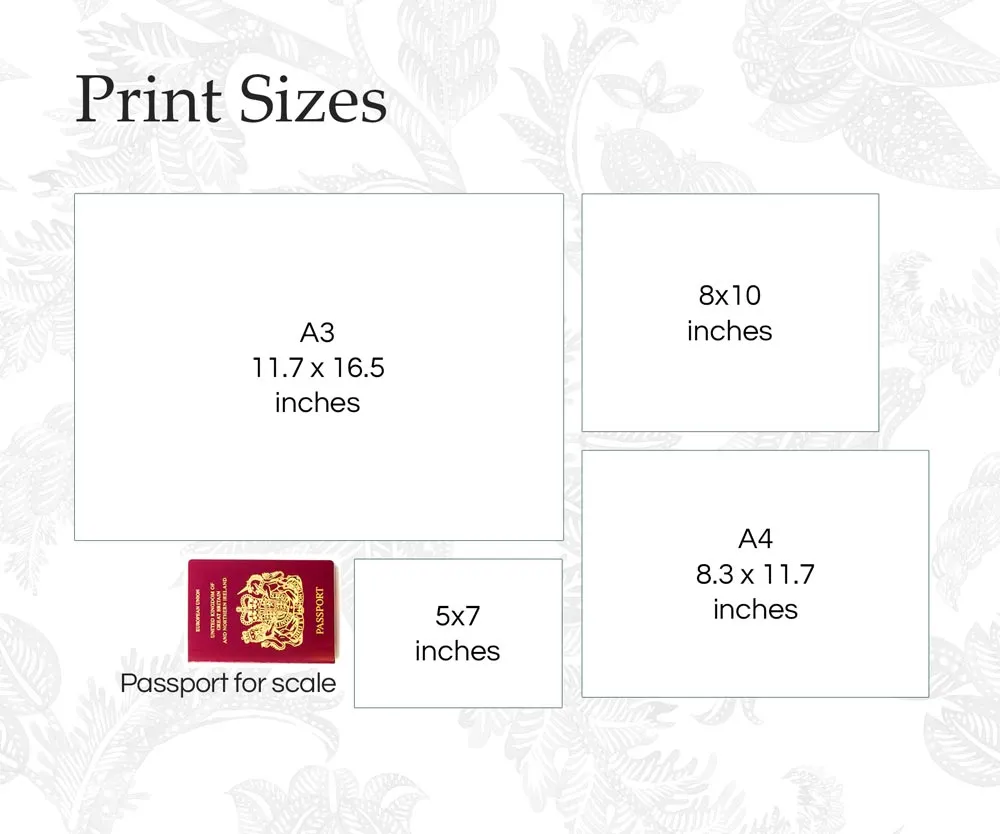 Two Guinea Pigs Pet Print - Personalised Colour From Photo