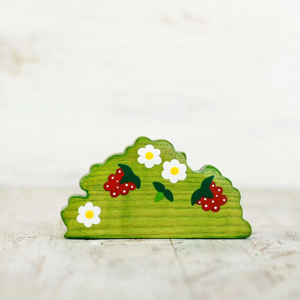 Wooden Caterpillar raspberry bush